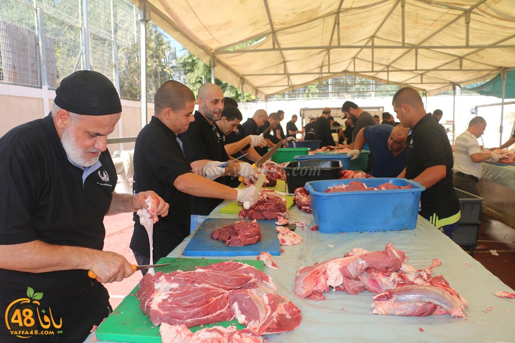 ada7y forthei (54).JPG